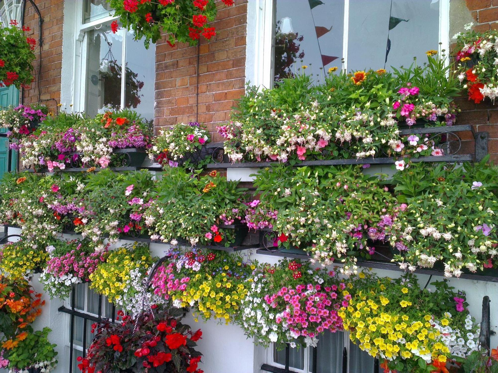 The Langham Bed & Breakfast Weymouth Dış mekan fotoğraf